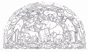 Black and white illustration in a dome with layers of animals, fish, trees and stars