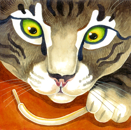 Watercolour close up of cat's face, paw and shoelace.